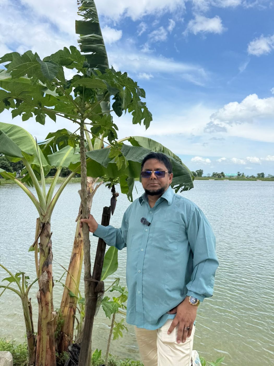 পানির ধারে কলা ও পেঁপে গাছ